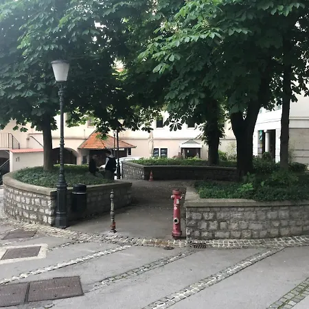 Birch On Main Square Laibach