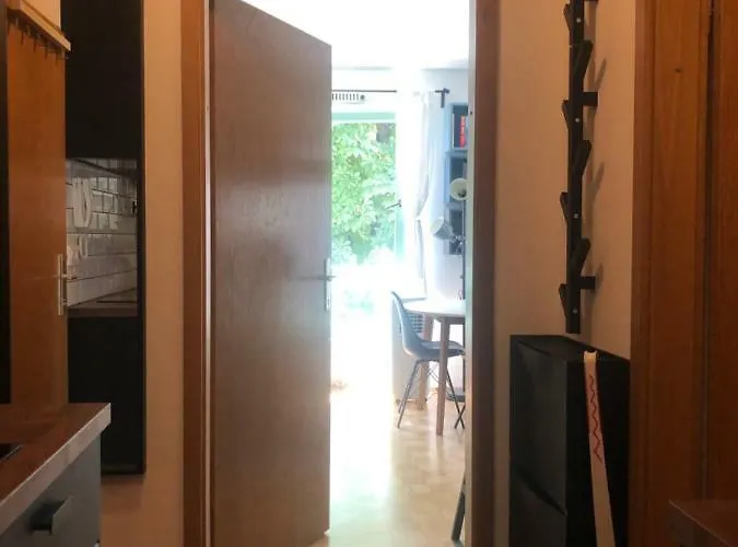 Birch On Main Square