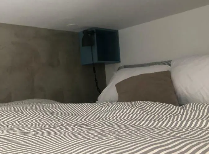 Birch On Main Square Ljubljana