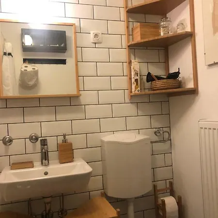 Birch On Main Square Lublana