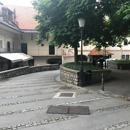 Birch On Main Square Lublana